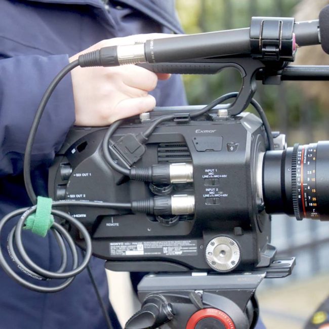 Young Company screen - cover photo