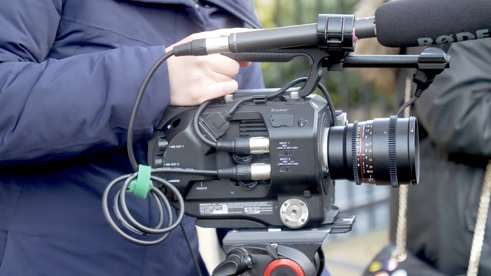 Young Company screen - cover photo